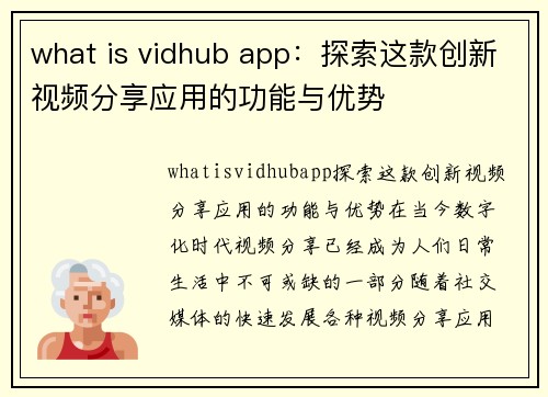 what is vidhub app：探索这款创新视频分享应用的功能与优势